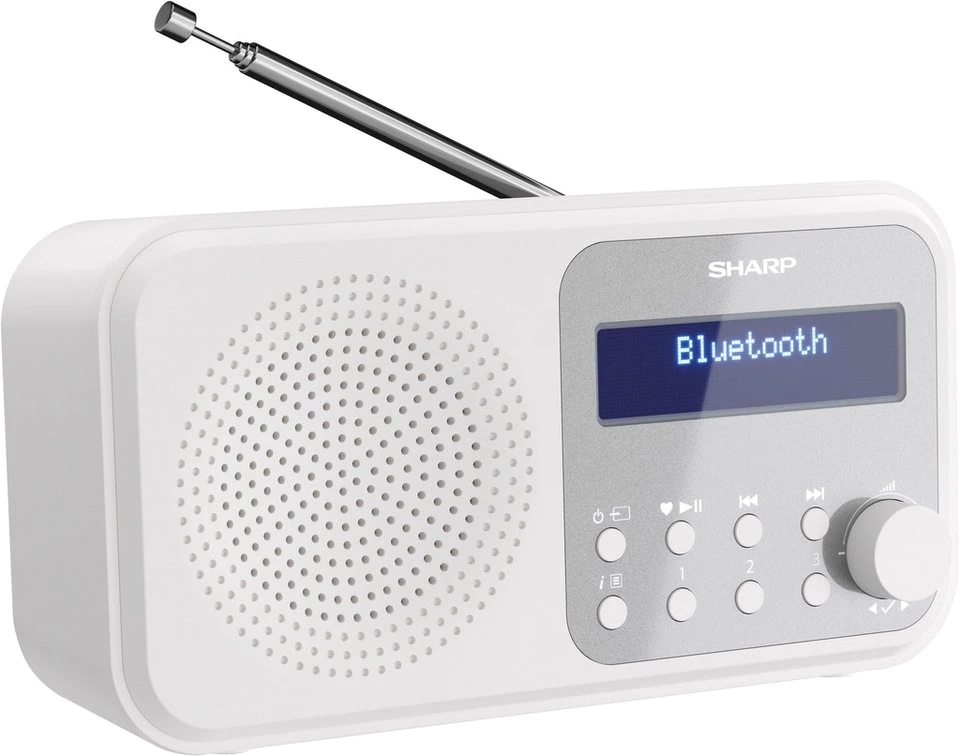 Sharp DR-P420 Radio (Digitalradio (DAB), FM-Tuner mit RDS, 2 W)